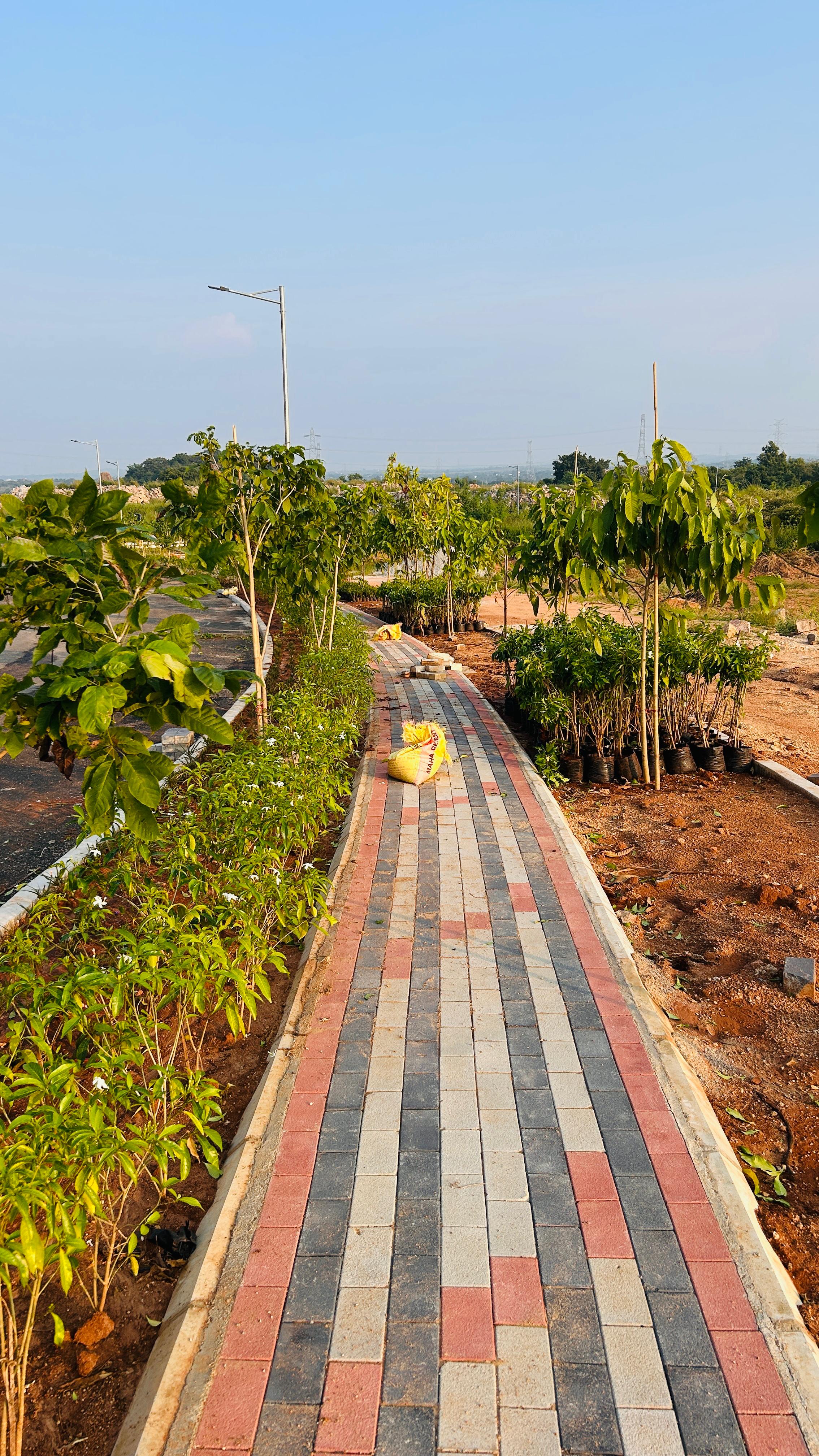 Plot For Sale in Serene City