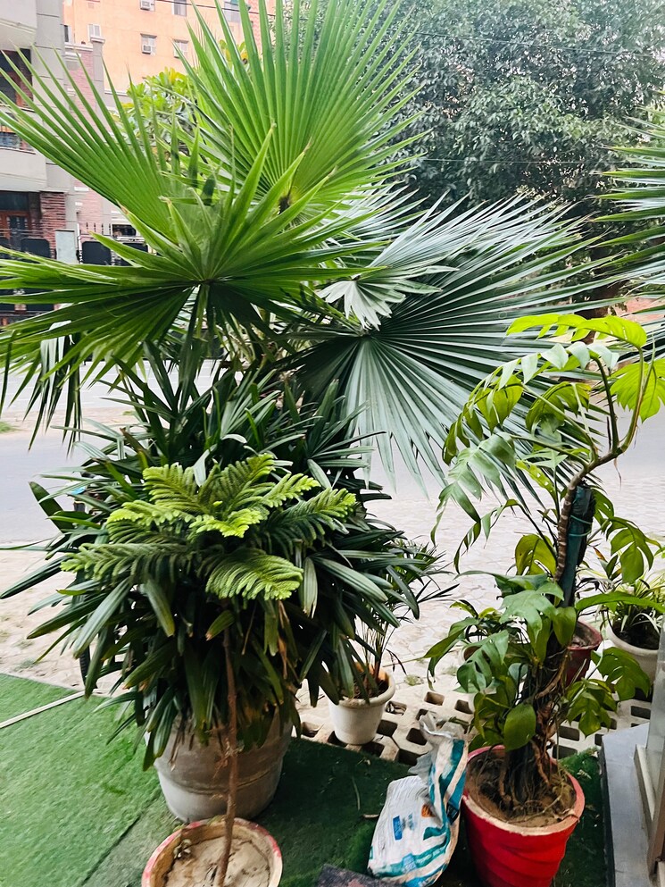 Garden, kohli-one-malibu-town-plot  192 Sq.Yd. Plot In Sector 47 Gurgaon 8198623