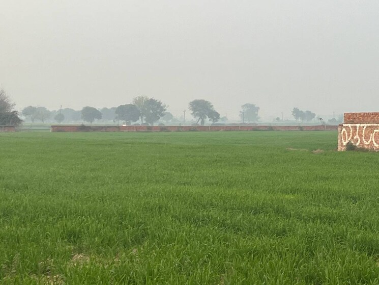 undefined, sikandrabad  450 Sq.Yd. Plot In Sikandrabad Bulandshahr 8199235