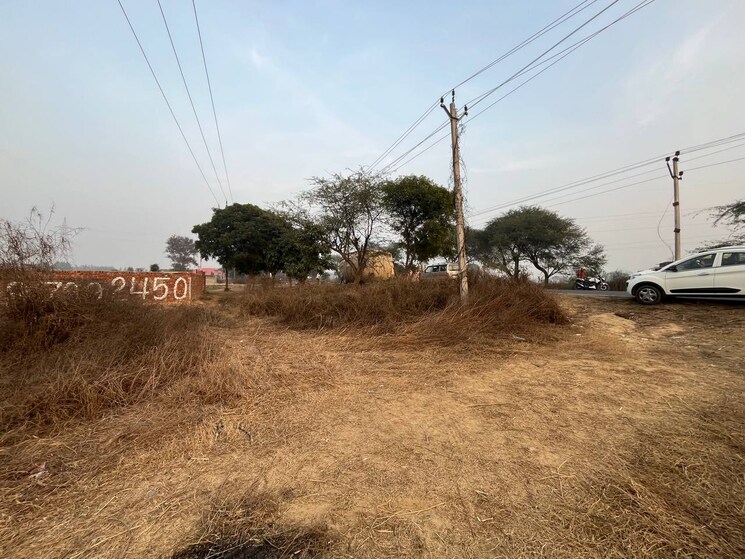 undefined, sikandrabad  450 Sq.Yd. Plot In Sikandrabad Bulandshahr 8199235