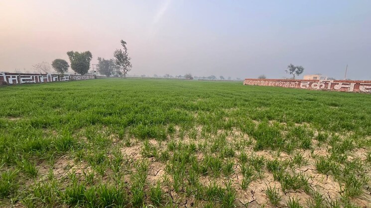 undefined, sikandrabad  450 Sq.Yd. Plot In Sikandrabad Bulandshahr 8199235