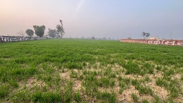 Plot Area in  Plot at Sikandrabad – for Sale