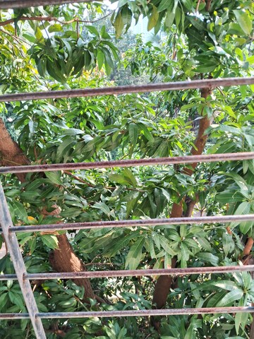 Balcony in 1 BHK Apartment at Prachiti Height, Bolinj – for Rent