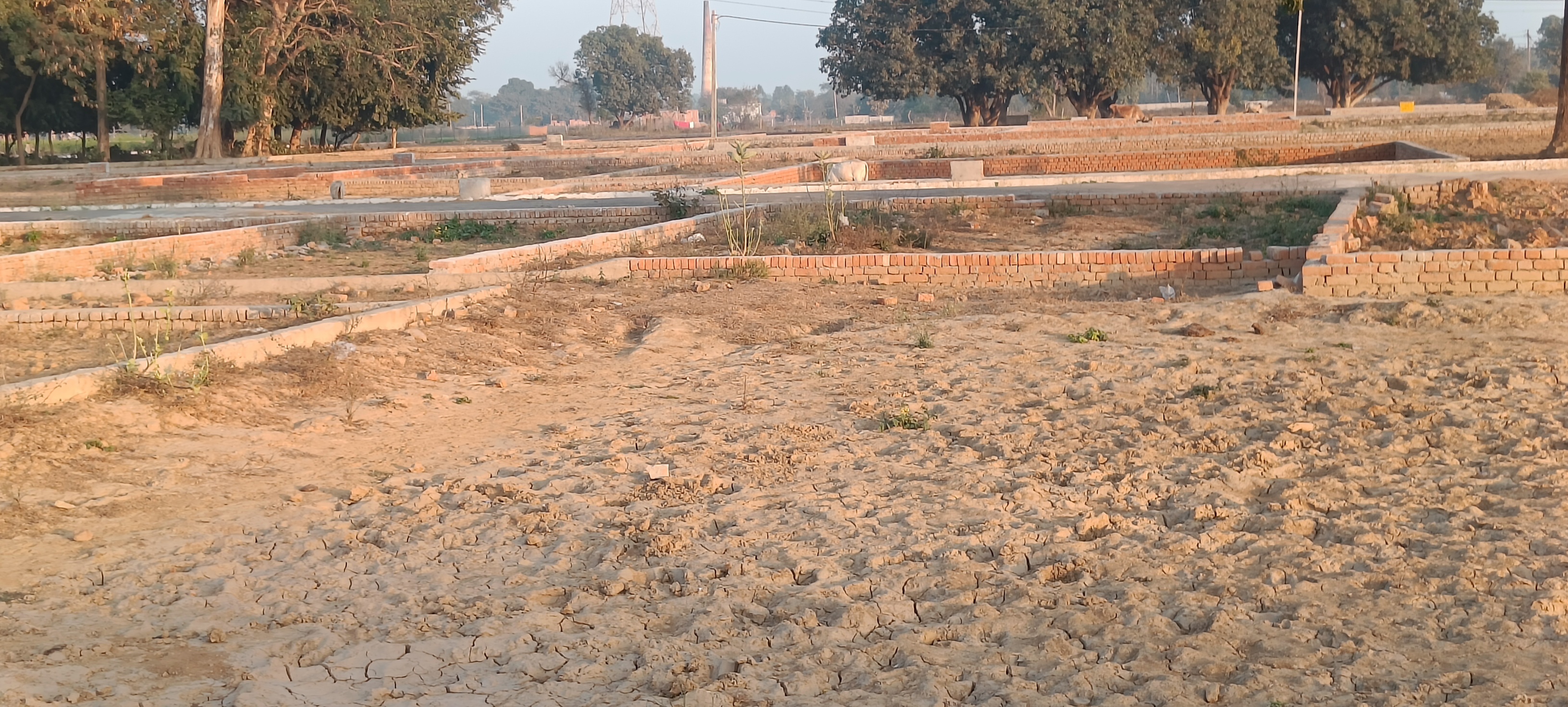Plot For Sale in Arsha Madhav Greens