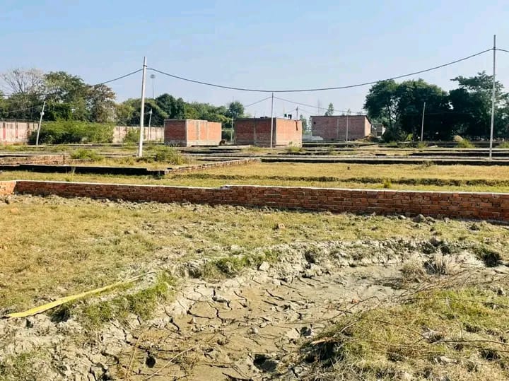 Plot For Sale in Sector 81