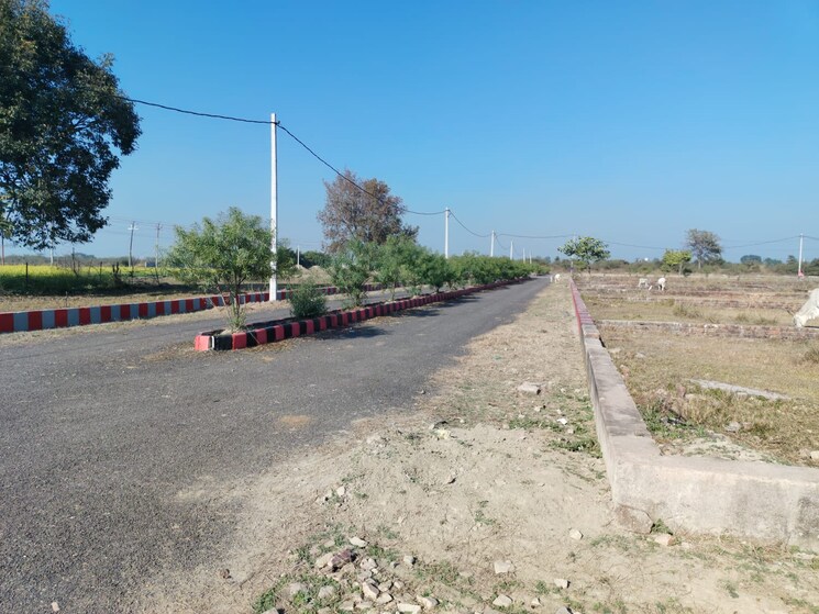 undefined, sector 81  900 Sq.Ft. Plot In Sector 81 Faridabad 8199353