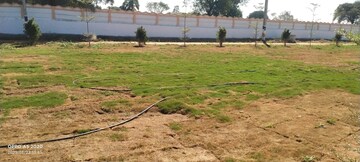 Plot Area in  Plot at Shadnagar – for Sale