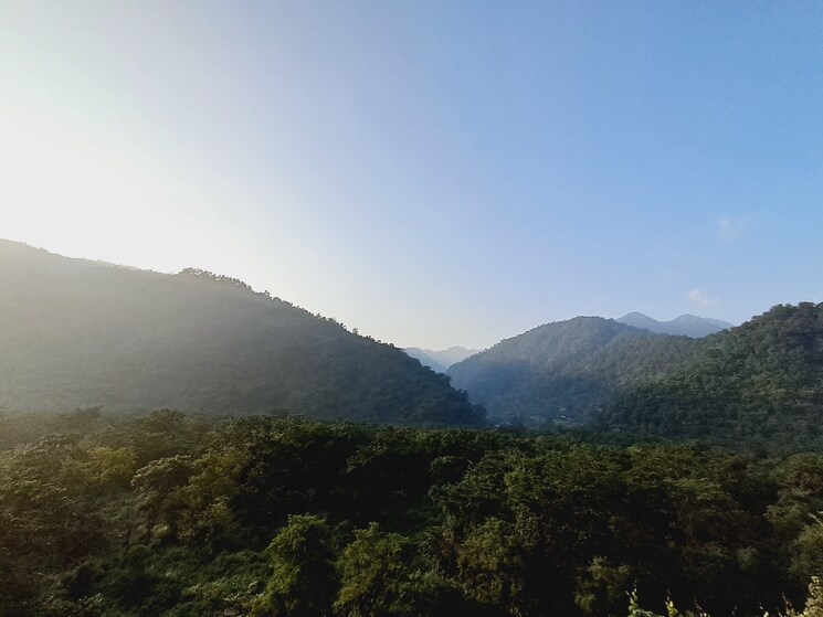 Garden, jolly grant  300 Sq.Yd. Plot In Jolly Grant Dehradun 8199548