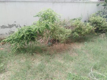 Plot Area in 2 BHK Builder Floor at Vatika INXT Emilia floors, Sector 82 – for Rent