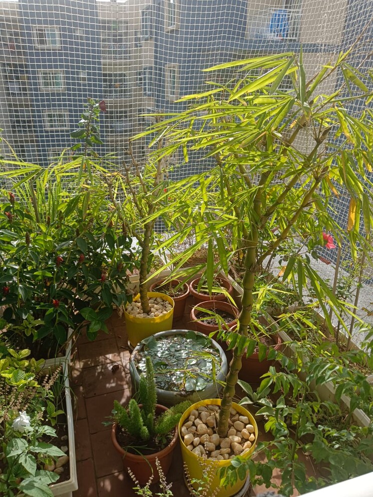 Garden, brigade-plumeria-lifestyle 3 Bedroom 1478 Sq.Ft. Apartment In Kanakapura Road Bangalore 8200271