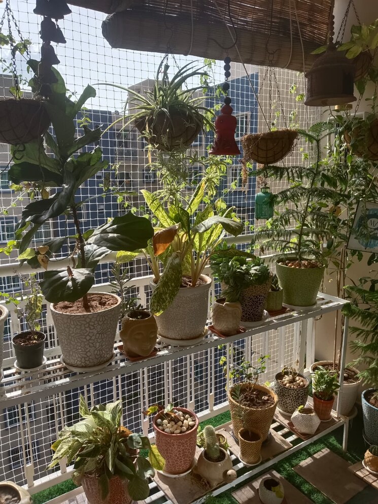 Balcony, brigade-plumeria-lifestyle 3 Bedroom 1478 Sq.Ft. Apartment In Kanakapura Road Bangalore 8200271