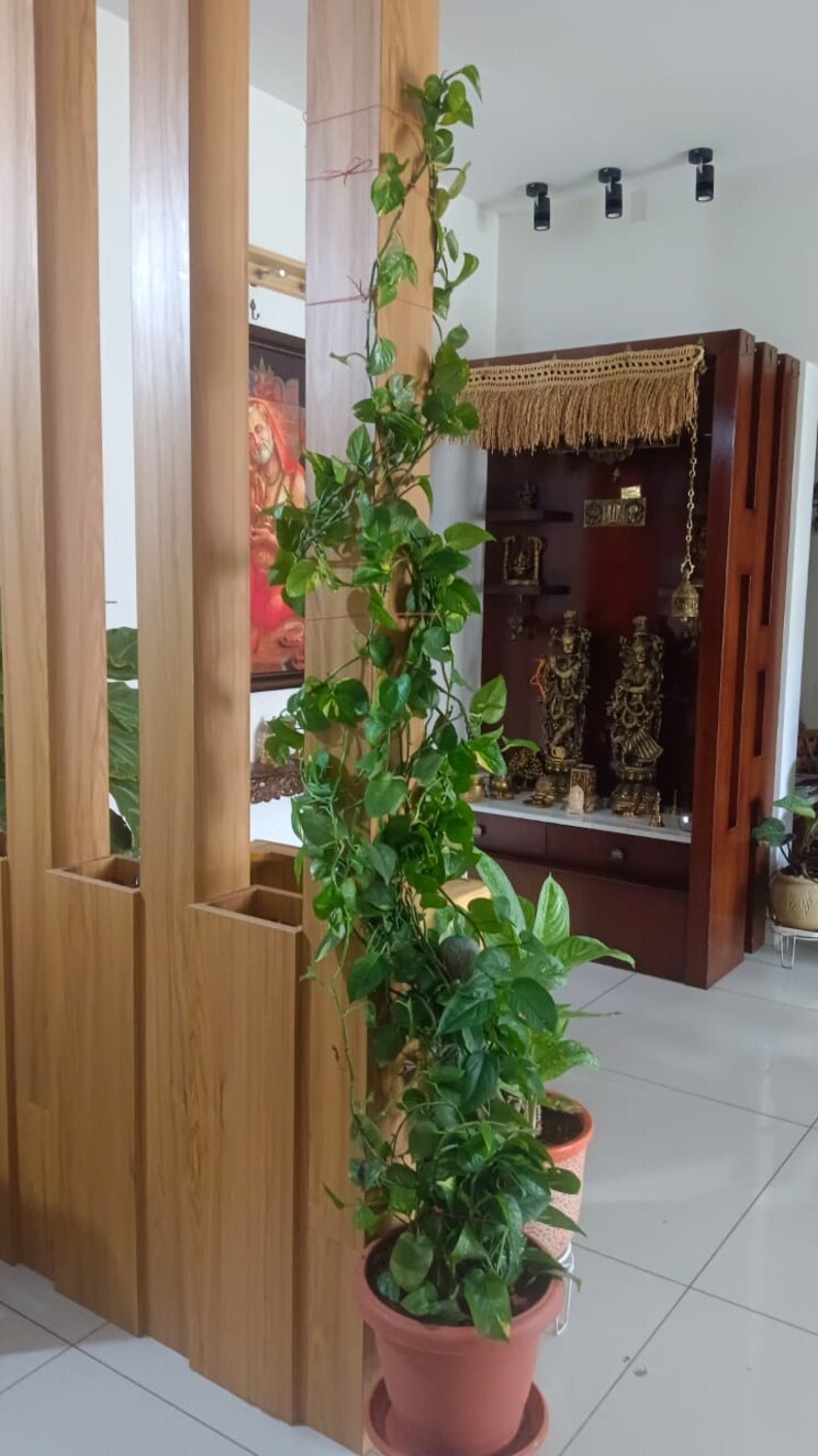 Balcony, brigade-plumeria-lifestyle 3 Bedroom 1478 Sq.Ft. Apartment In Kanakapura Road Bangalore 8200271