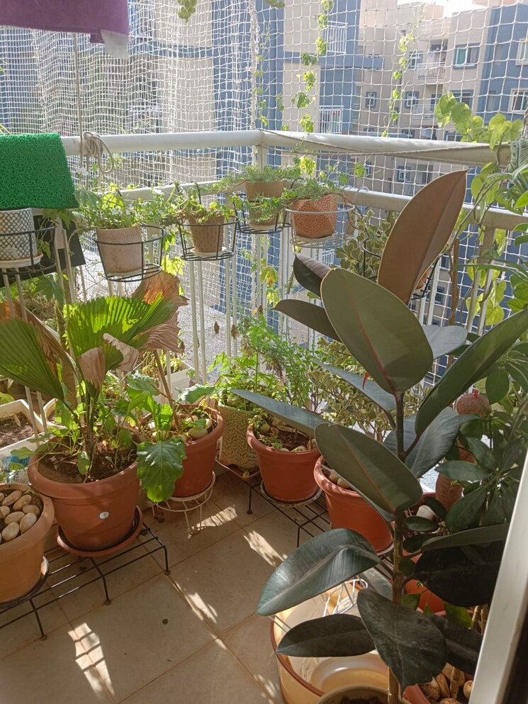 Master Bedroom, brigade-plumeria-lifestyle 3 Bedroom 1478 Sq.Ft. Apartment In Kanakapura Road Bangalore 8200271