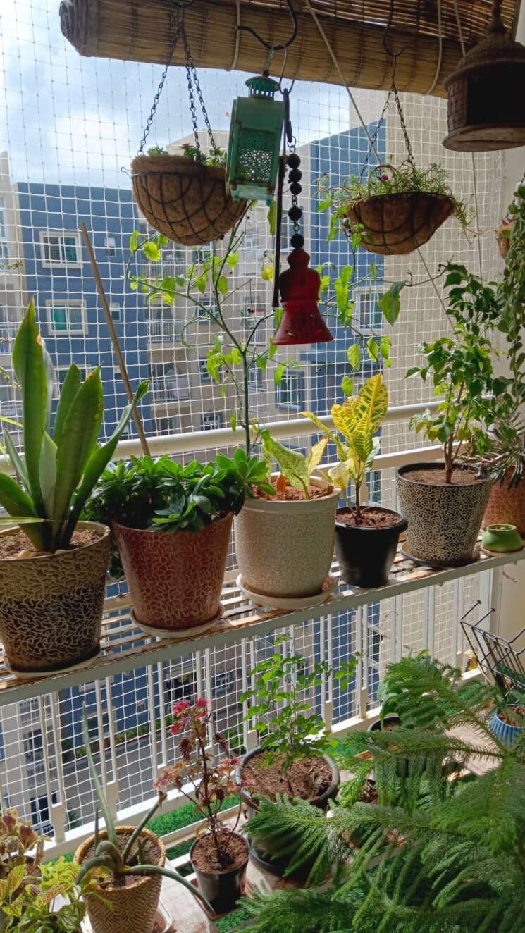 Living Room, brigade-plumeria-lifestyle 3 Bedroom 1478 Sq.Ft. Apartment In Kanakapura Road Bangalore 8200271