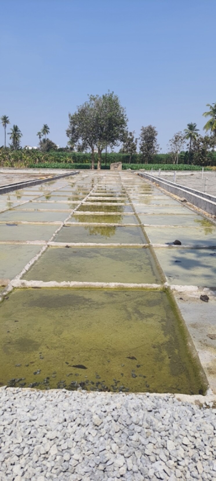 Exterior View, penamaluru  200 Sq.Yd. Plot In Penamaluru Vijayawada 8200411