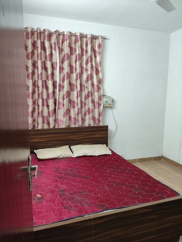 2 BHK Apartment For Rent in Tulip Lemon, Sector 69