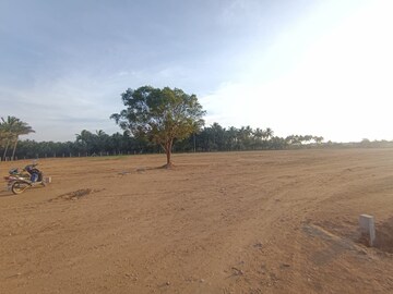 Plot Area in  Plot at Chettipalayam – for Sale