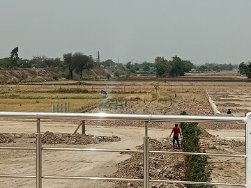 Plot Area in  Plot at Noida Central – for Sale