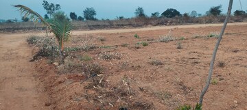 Plot For Resale in Jadcherla Hyderabad  8201061