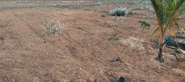 Plot Area in  Plot at  – for Sale