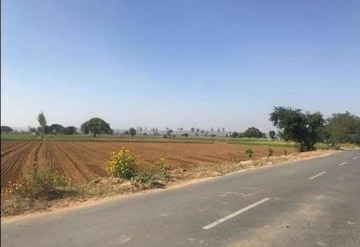 Commercial Land 6098 Sq.Ft. For Resale in Bapauli  Panipat  8201015