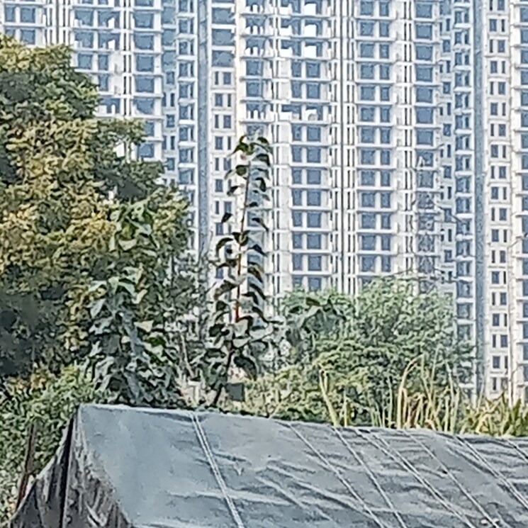 Balcony, sector 82 3.5 Bedroom 2165 Sq.Mt. Apartment In Sector 82 Noida 8201200