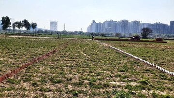  Plot For Sale in Sector 144