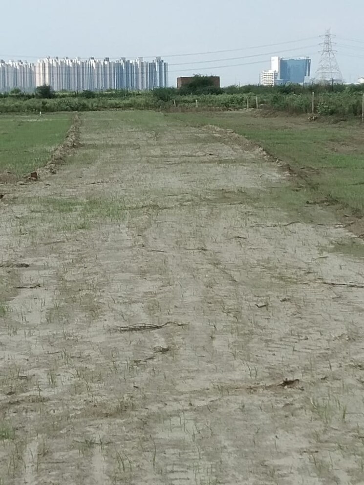 undefined, knowledge park 1 greater noida  52 Sq.Yd. Plot In Knowledge Park 1 Greater Noida Greater Noida 8201662