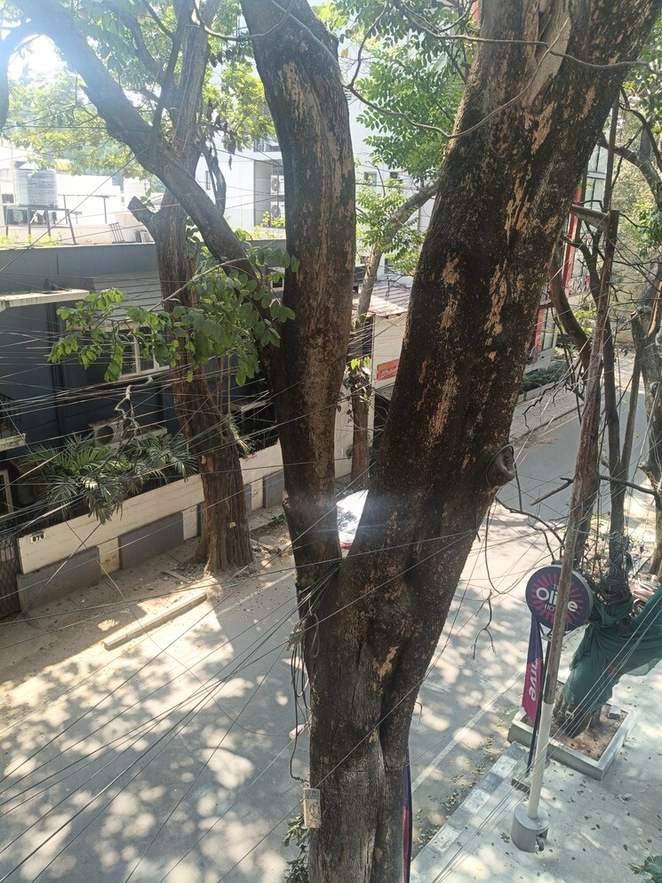 Exterior View, indiranagar 3 Bedroom 1725 Sq.Ft. Builder Floor In Indiranagar Bangalore 8202115