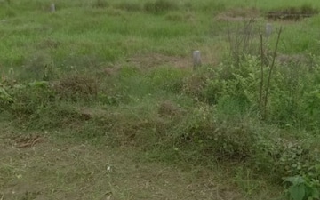 Plot For Rent in Dindori