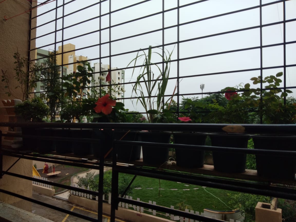 2.5 BHK + Pooja Room Apartment For Sale in Lunkad Colonnade I