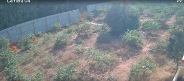 Commercial Land 40000 Sq.Ft. For Rent in Singena Agrahara Bangalore  8202259