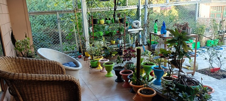 Garden, malsi 5 Bedroom 234 Sq.Yd. Villa In Malsi Dehradun 8202335