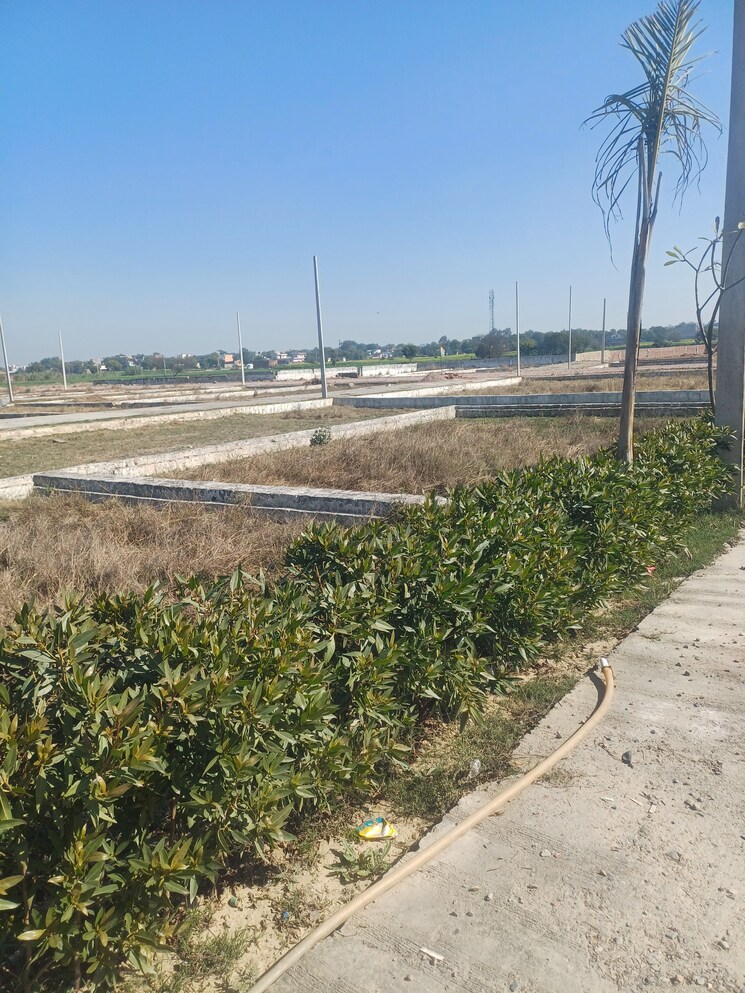 Exterior View, jewar  519 Sq.Yd. Plot In Jewar Greater Noida 8202796