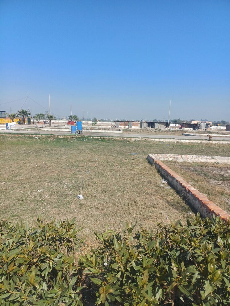 Garden, jewar  523 Sq.Yd. Plot In Jewar Greater Noida 8202838