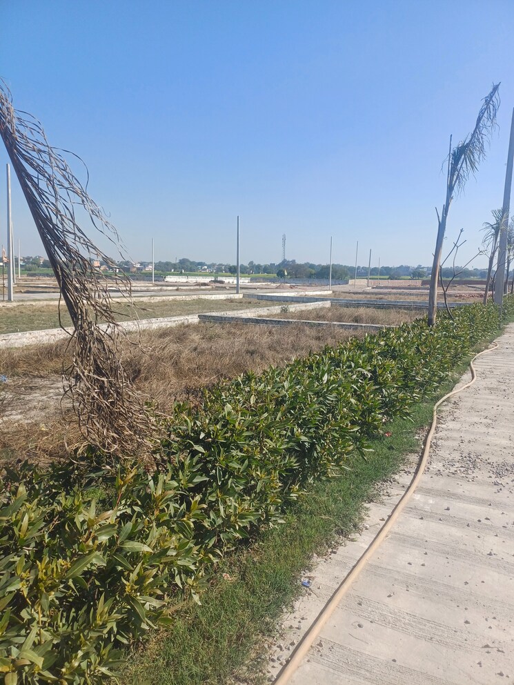 Exterior View, jewar  523 Sq.Yd. Plot In Jewar Greater Noida 8202838