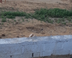 Plot For Sale in Pratap Nagar