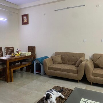 Living Room in 3 BHK Apartment at SDS NRI Residency, Sector 45 – for Rent