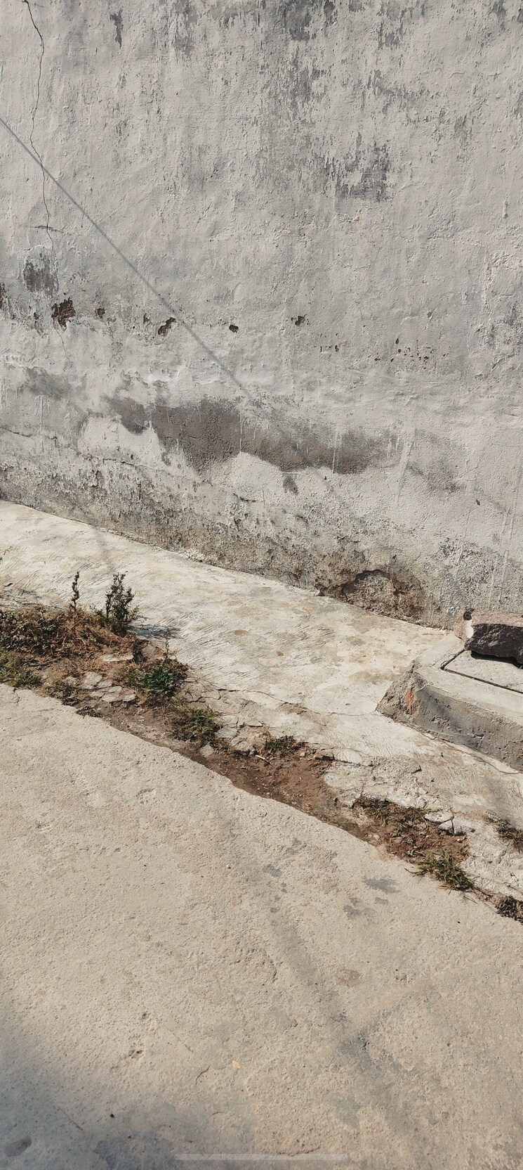 Exterior View, bharath nagar colony  250 Sq.Yd. Plot In Bharath Nagar Colony Hyderabad 8203213