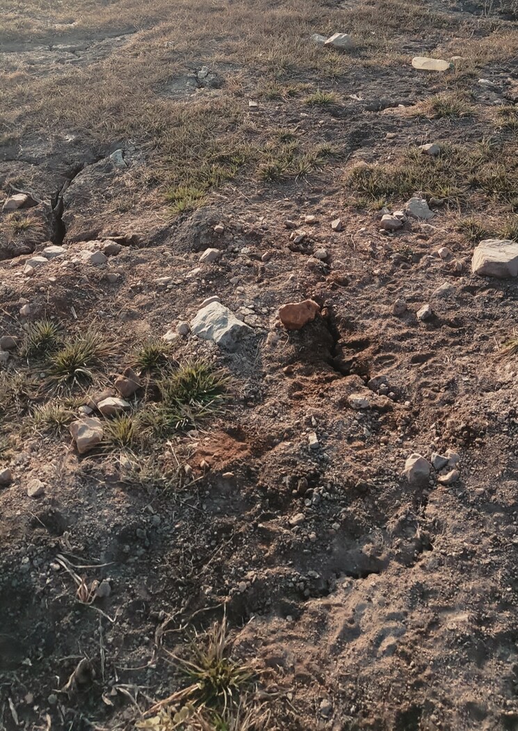 undefined, bharath nagar colony  250 Sq.Yd. Plot In Bharath Nagar Colony Hyderabad 8203213