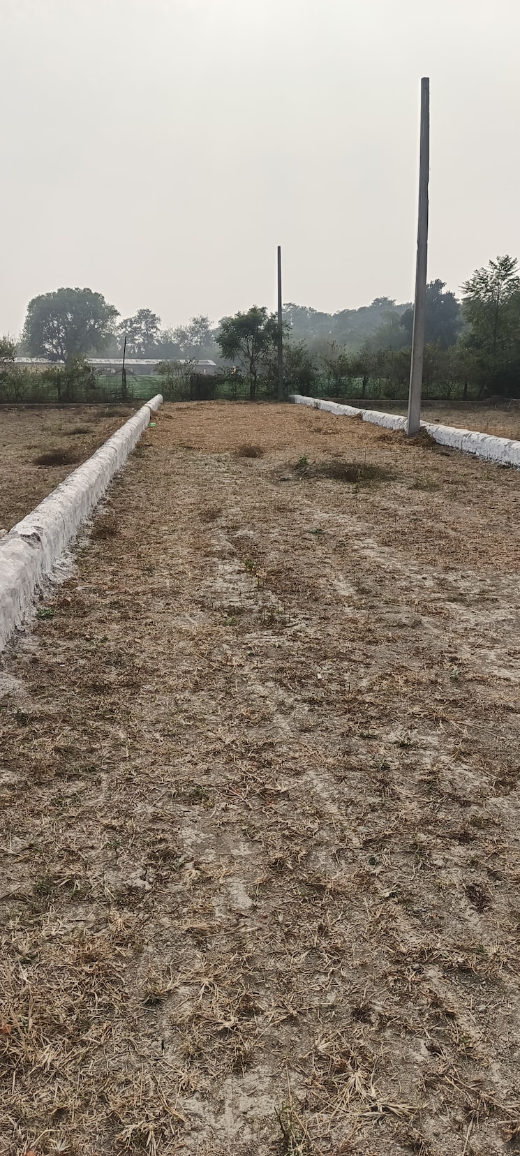 undefined, kisan path  1006 Sq.Ft. Plot In Kisan Path Lucknow 8203214