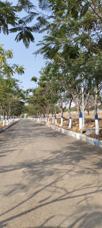  Plot – Exterior View View at YBR Avasa Hills, Adibatla - for Sale