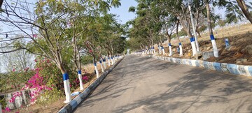  Plot – Exterior View View at YBR Avasa Hills, Adibatla - for Sale