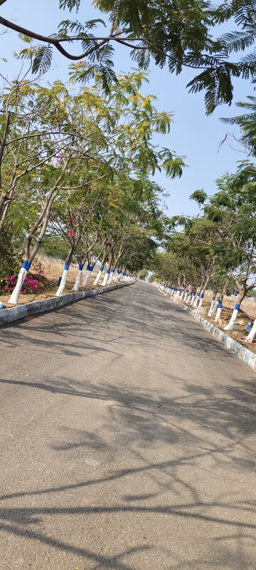  Plot – Exterior View View at YBR Avasa Hills, Adibatla - for Sale