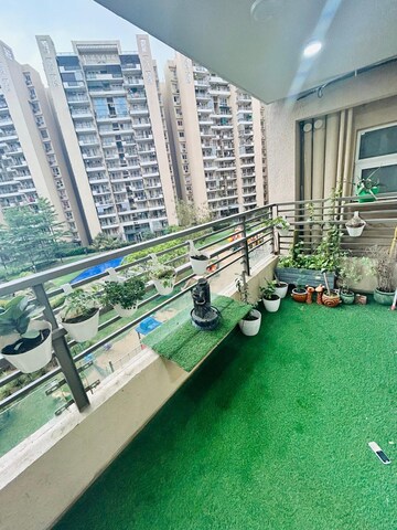 3 BHK Apartment For Rent in Tulip Violet, Sector 69