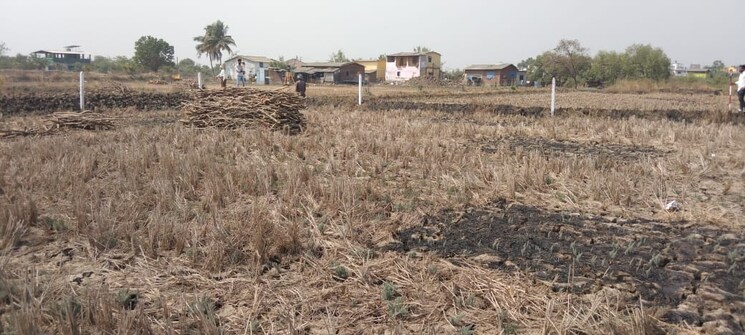 undefined, dronagiri  1089 Sq.Yd. Plot In Dronagiri Navi Mumbai 8204469