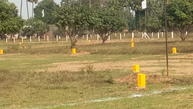 undefined, kanapaka  167 Sq.Yd. Plot In Kanapaka Vizianagaram 8204519