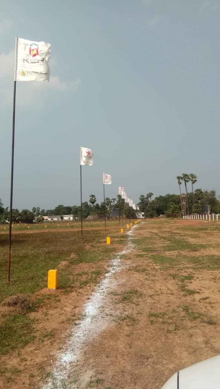 undefined, kanapaka  167 Sq.Yd. Plot In Kanapaka Vizianagaram 8204519