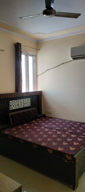 2 BHK Apartment For Rent in Tonk Road Jaipur  8204506