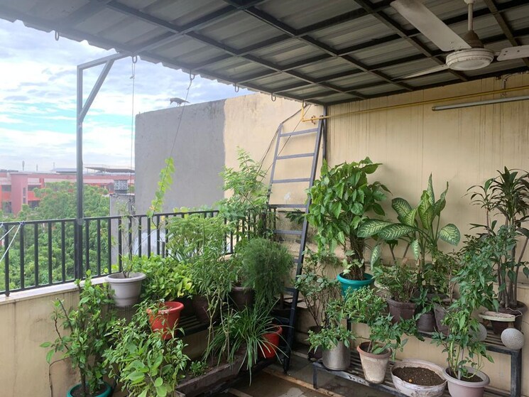 Exterior View, lajpat nagar 1 Bedroom 100 Sq.Yd. Builder Floor In Lajpat Nagar Delhi 8204504